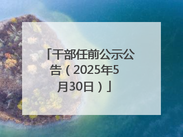 干部任前公示公告（2025年5月30日）