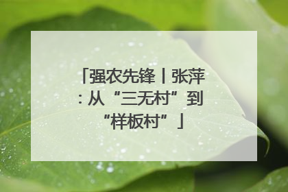 强农先锋丨张萍：从“三无村”到“样板村”
