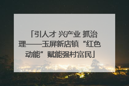 引人才 兴产业 抓治理——玉屏新店镇“红色动能”赋能强村富民
