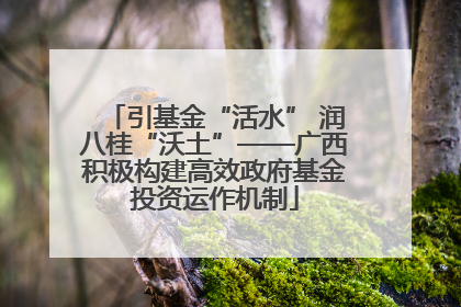 引基金“活水” 润八桂“沃土”——广西积极构建高效政府基金投资运作机制