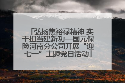 弘扬焦裕禄精神 实干担当建新功—国元保险河南分公司开展“迎七一”主题党日活动