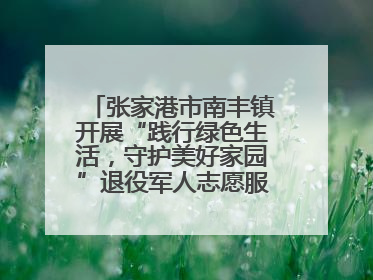 张家港市南丰镇开展“践行绿色生活，守护美好家园”退役军人志愿服务活动