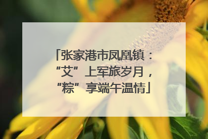 张家港市凤凰镇：“艾”上军旅岁月，“粽”享端午温情