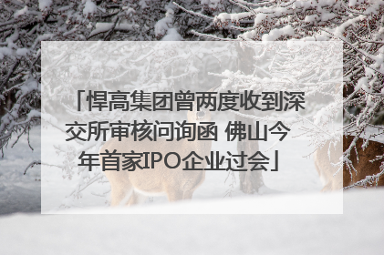 悍高集团曾两度收到深交所审核问询函 佛山今年首家IPO企业过会