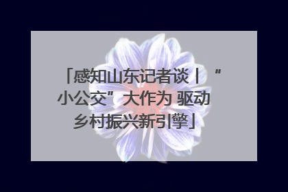 感知山东记者谈丨“小公交”大作为 驱动乡村振兴新引擎