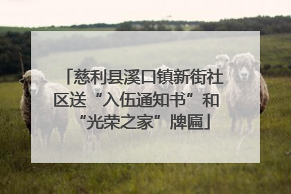 慈利县溪口镇新街社区送“入伍通知书”和“光荣之家”牌匾