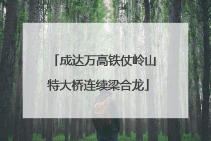 成达万高铁仗岭山特大桥连续梁合龙