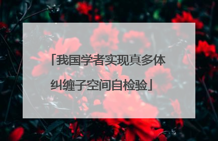 我国学者实现真多体纠缠子空间自检验