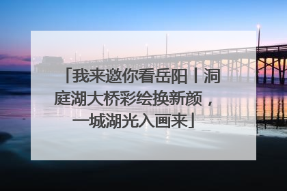 我来邀你看岳阳丨洞庭湖大桥彩绘换新颜，一城湖光入画来