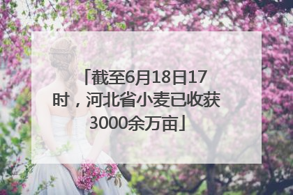 截至6月18日17时，河北省小麦已收获3000余万亩