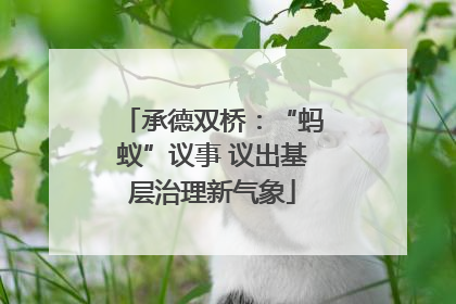 承德双桥：“蚂蚁”议事 议出基层治理新气象