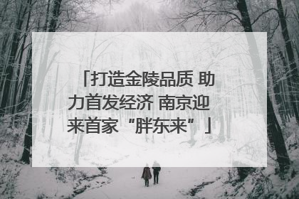 打造金陵品质 助力首发经济 南京迎来首家“胖东来”