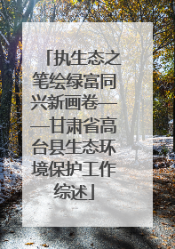 执生态之笔绘绿富同兴新画卷——甘肃省高台县生态环境保护工作综述