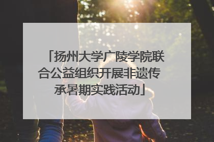扬州大学广陵学院联合公益组织开展非遗传承暑期实践活动