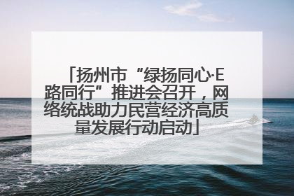 扬州市“绿扬同心·E路同行”推进会召开，网络统战助力民营经济高质量发展行动启动
