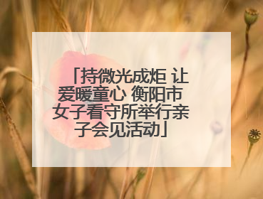 持微光成炬 让爱暖童心 衡阳市女子看守所举行亲子会见活动