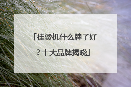 挂烫机什么牌子好？十大品牌揭晓