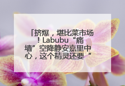 挤爆，堪比菜市场！Labubu“痛墙”空降静安嘉里中心，这个精灵还要“突袭”便利店？
