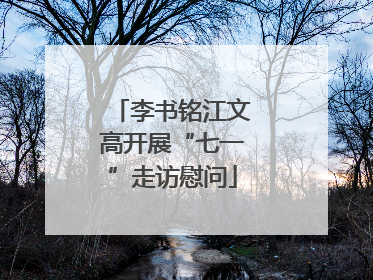 李书铭江文高开展“七一”走访慰问