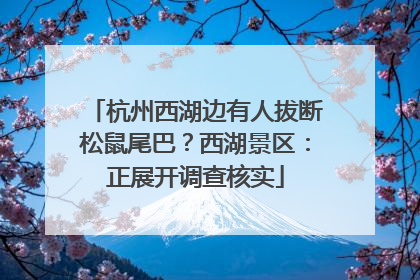 杭州西湖边有人拔断松鼠尾巴？西湖景区：正展开调查核实