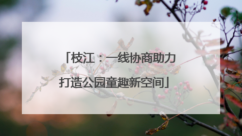 枝江：一线协商助力打造公园童趣新空间