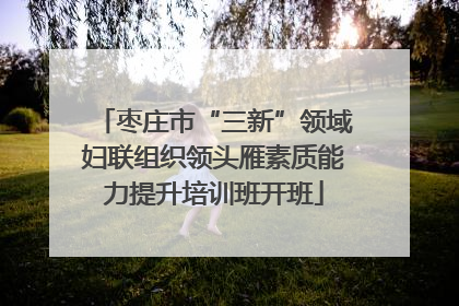 枣庄市“三新”领域妇联组织领头雁素质能力提升培训班开班