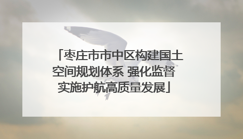 枣庄市市中区构建国土空间规划体系 强化监督实施护航高质量发展