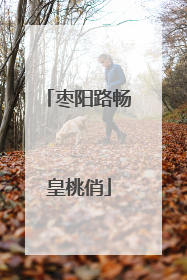 枣阳路畅皇桃俏