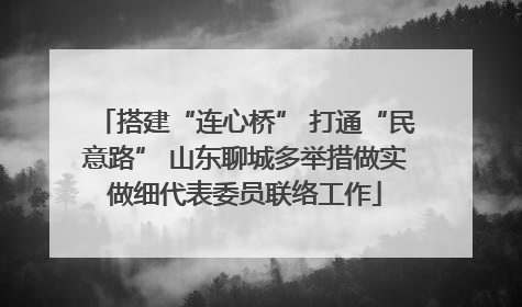 搭建“连心桥” 打通“民意路” 山东聊城多举措做实做细代表委员联络工作