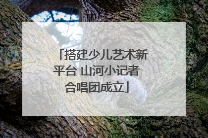搭建少儿艺术新平台 山河小记者合唱团成立
