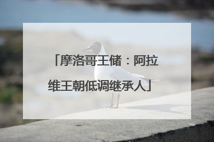 摩洛哥王储：阿拉维王朝低调继承人