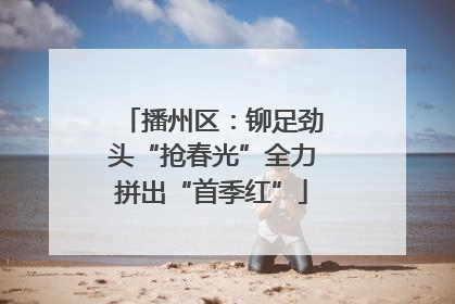 播州区：铆足劲头“抢春光”全力拼出“首季红”