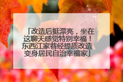 改造后挺漂亮，坐在这聊天感觉特别幸福！东西江家巷经提质改造变身居民自治幸福家