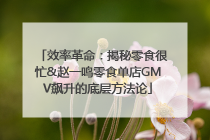 效率革命：揭秘零食很忙&赵一鸣零食单店GMV飙升的底层方法论