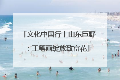 文化中国行丨山东巨野：工笔画绽放致富花