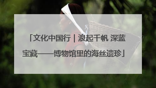 文化中国行｜浪起千帆 深蓝宝藏——博物馆里的海丝遗珍