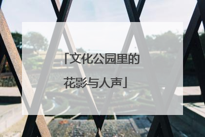 文化公园里的花影与人声