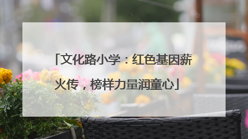 文化路小学：红色基因薪火传，榜样力量润童心