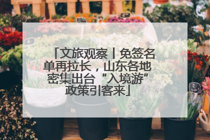 文旅观察丨免签名单再拉长，山东各地密集出台“入境游”政策引客来