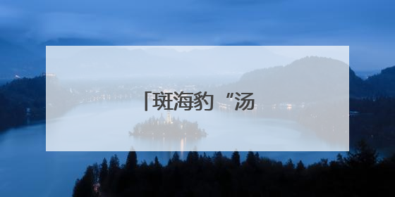 斑海豹“汤圆”归海记