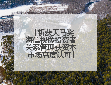 斩获天马奖 海信视像投资者关系管理获资本市场高度认可