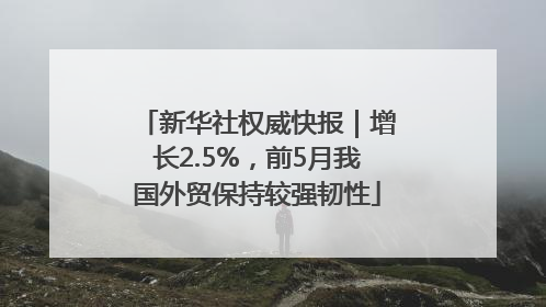 新华社权威快报｜增长2.5%，前5月我国外贸保持较强韧性