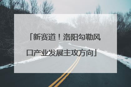 新赛道！洛阳勾勒风口产业发展主攻方向