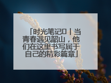 时光笔记⑪丨当青春遇见韶山，他们在这里书写属于自己的精彩篇章