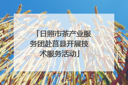 日照市茶产业服务团赴莒县开展技术服务活动