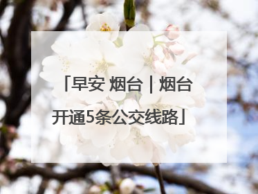 早安 烟台｜烟台开通5条公交线路
