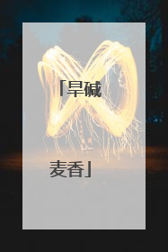 旱碱麦香