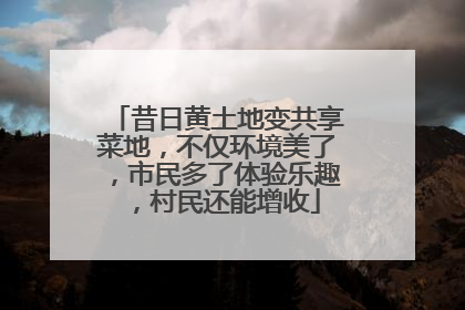 昔日黄土地变共享菜地，不仅环境美了，市民多了体验乐趣，村民还能增收