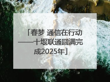 春梦 通信在行动——十堰联通圆满完成2025年