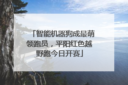 智能机器狗成最萌领跑员，平阳红色越野跑今日开赛
